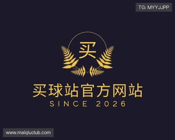 解读买球站官方网站